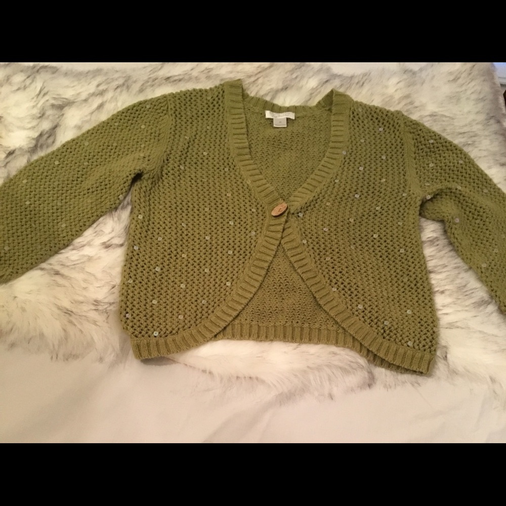 Christopher & Banks sweater vest